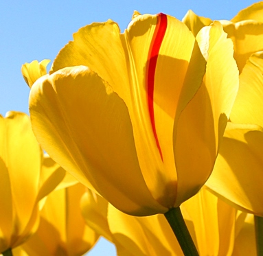 Spring Cleaning Sustainability Swap: Books & Plants image